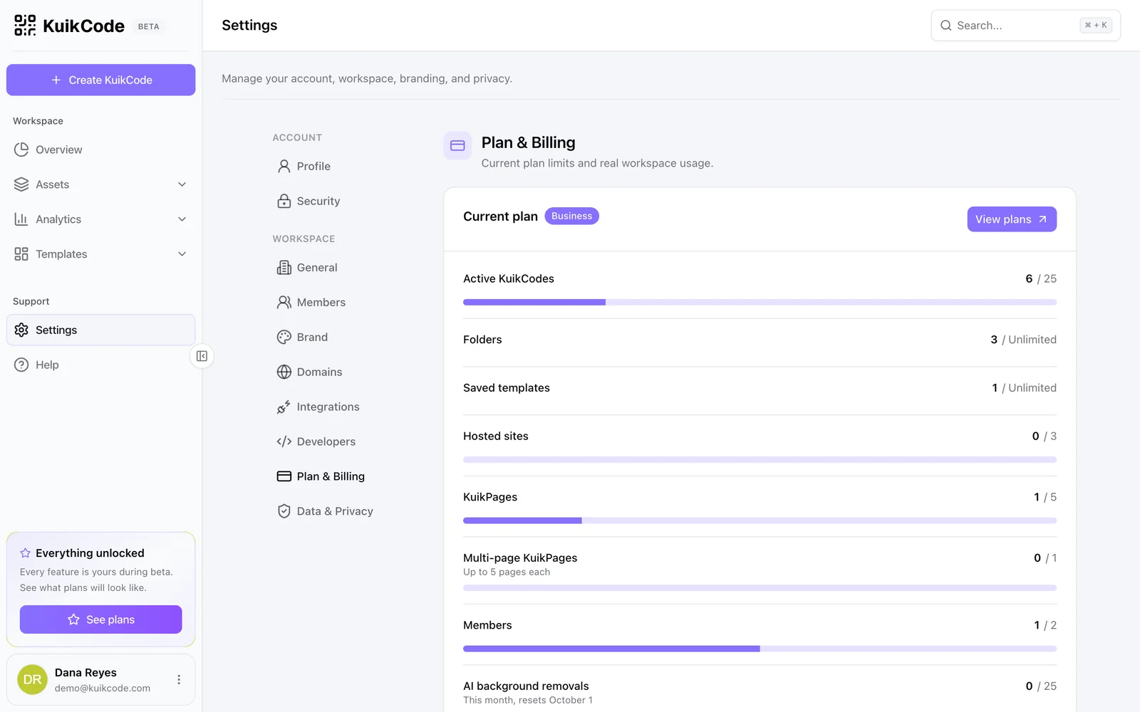 Settings, Plan & Billing: the current plan and usage against every limit